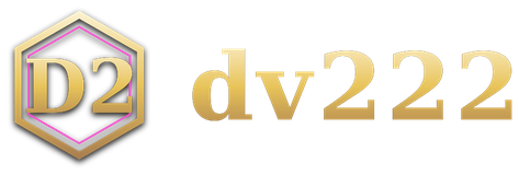 dv222 logo